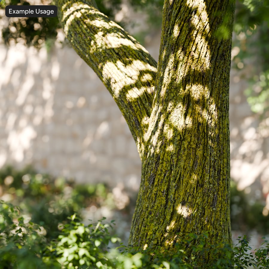 Mossy Bark Texture