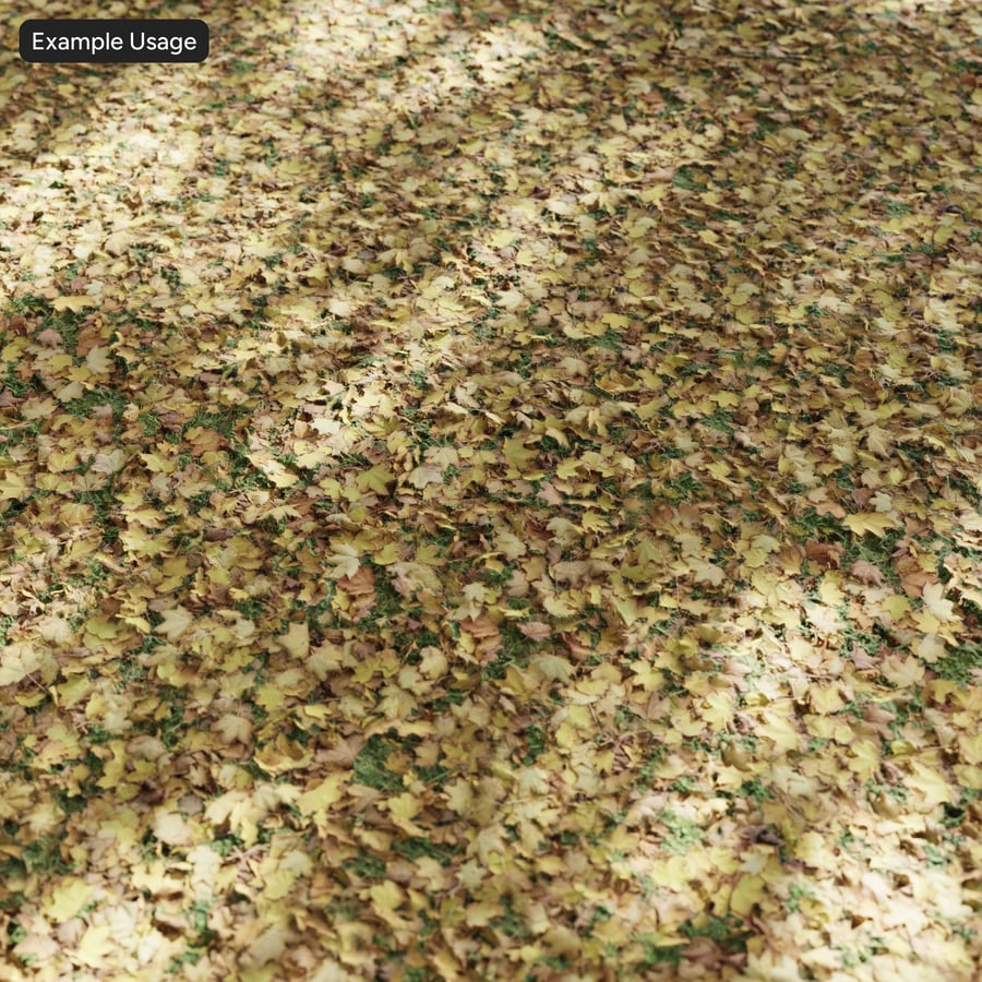 Autumn Maple Leaves on Grass Texture