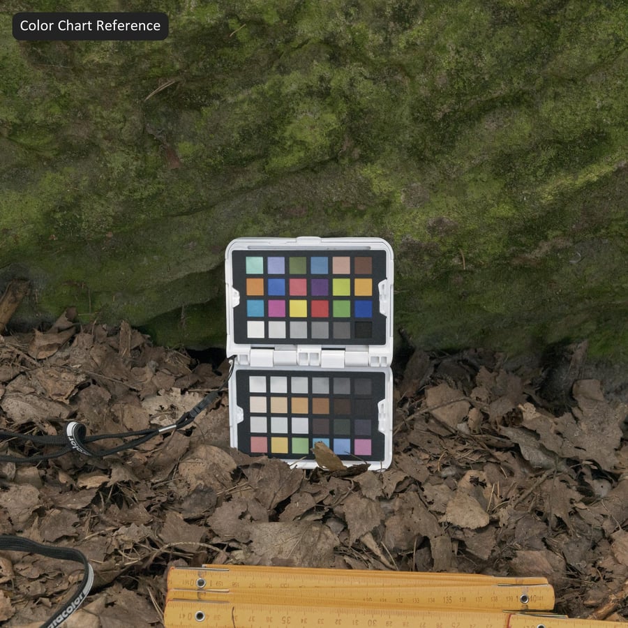 Mossy Cliff Rock Texture