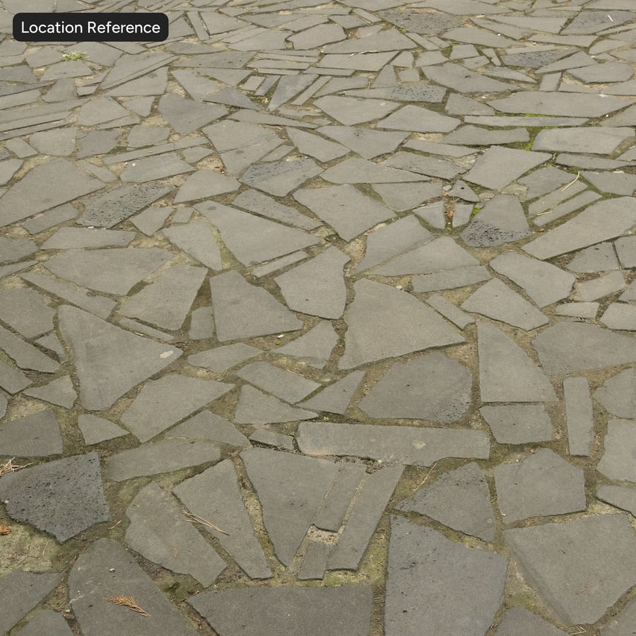 Old Irregular Stone Paver Texture