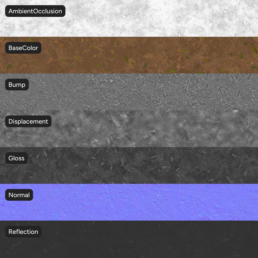 Dirt Forest Texture