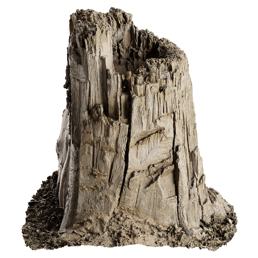 Short Broken Decaying Bare Stump Model