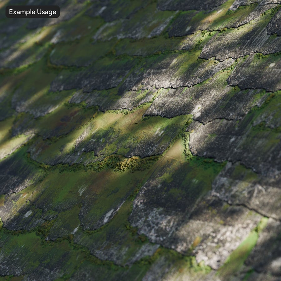 Textura de telhas danificadas e cobertas de musgo