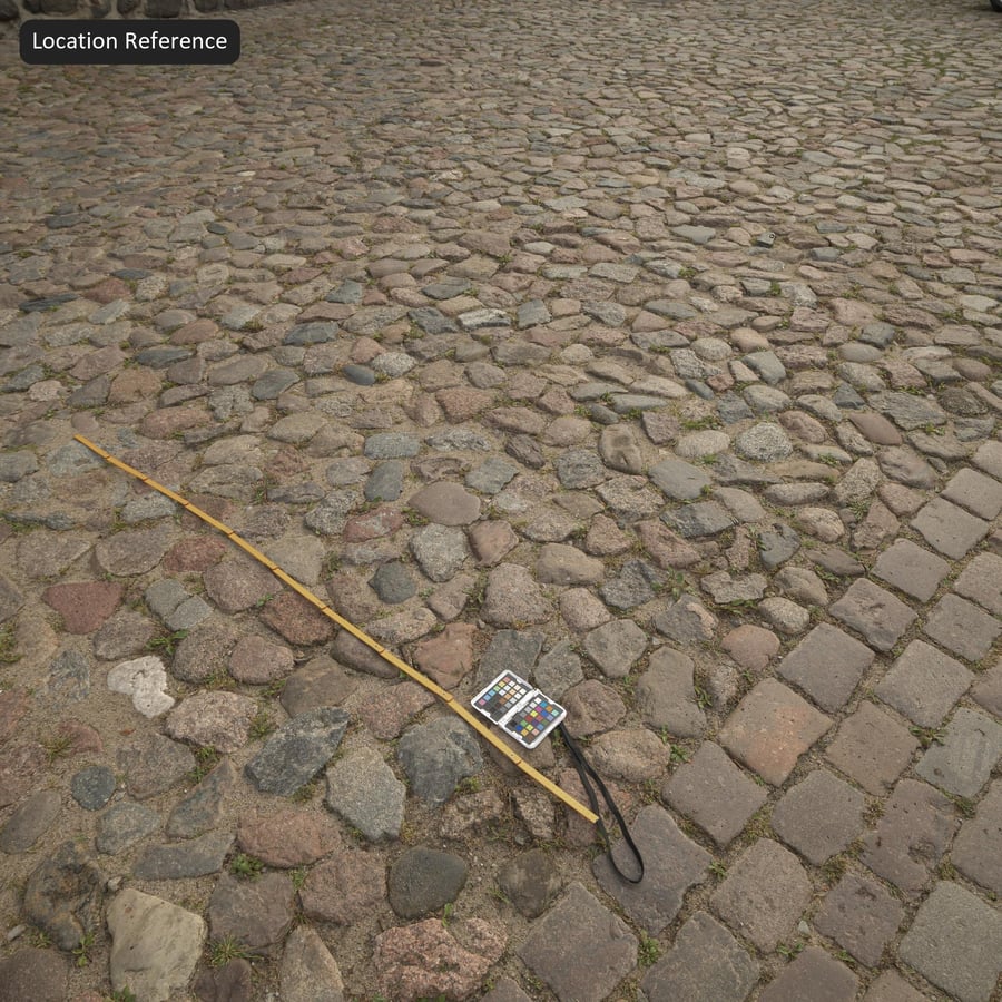 Weeds on Old Cobblestone Texture