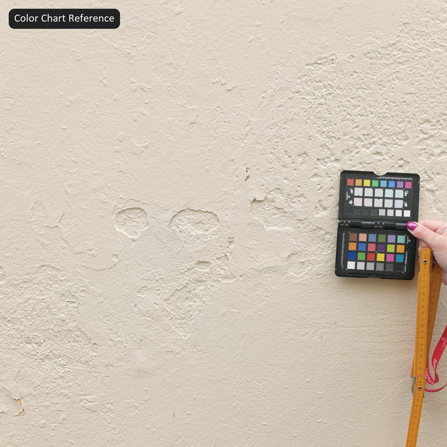 Rough Painted Plaster Wall Texture, Beige