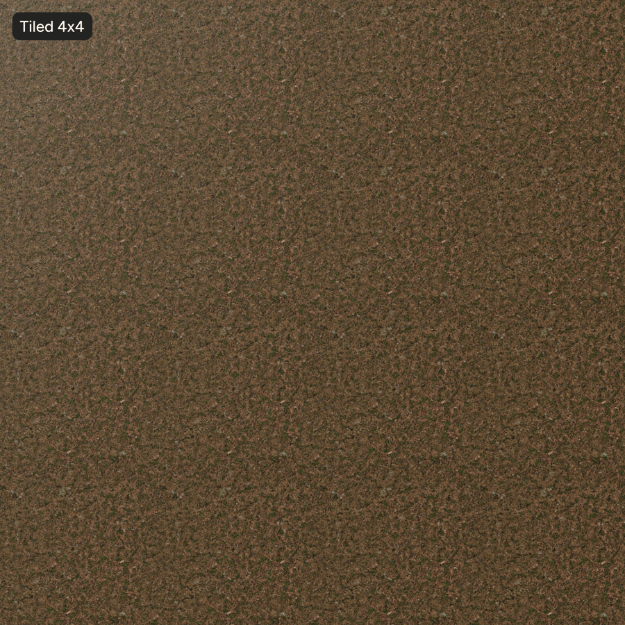 Folhas de pinheiro secas no solo Textura