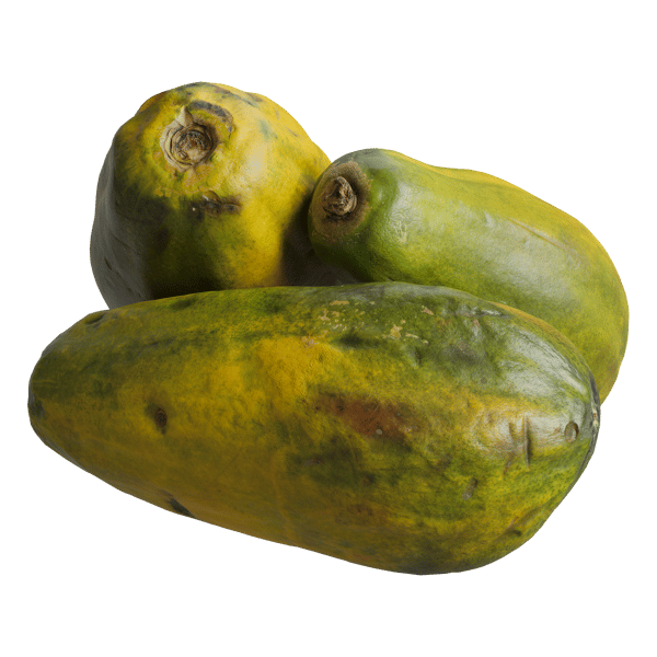 Papaya Models