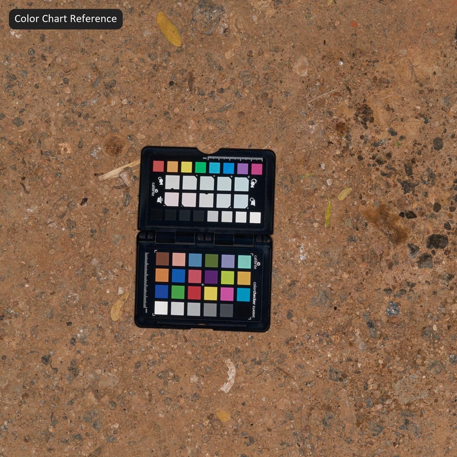 礫石泥路上的樹葉紋理，紅色