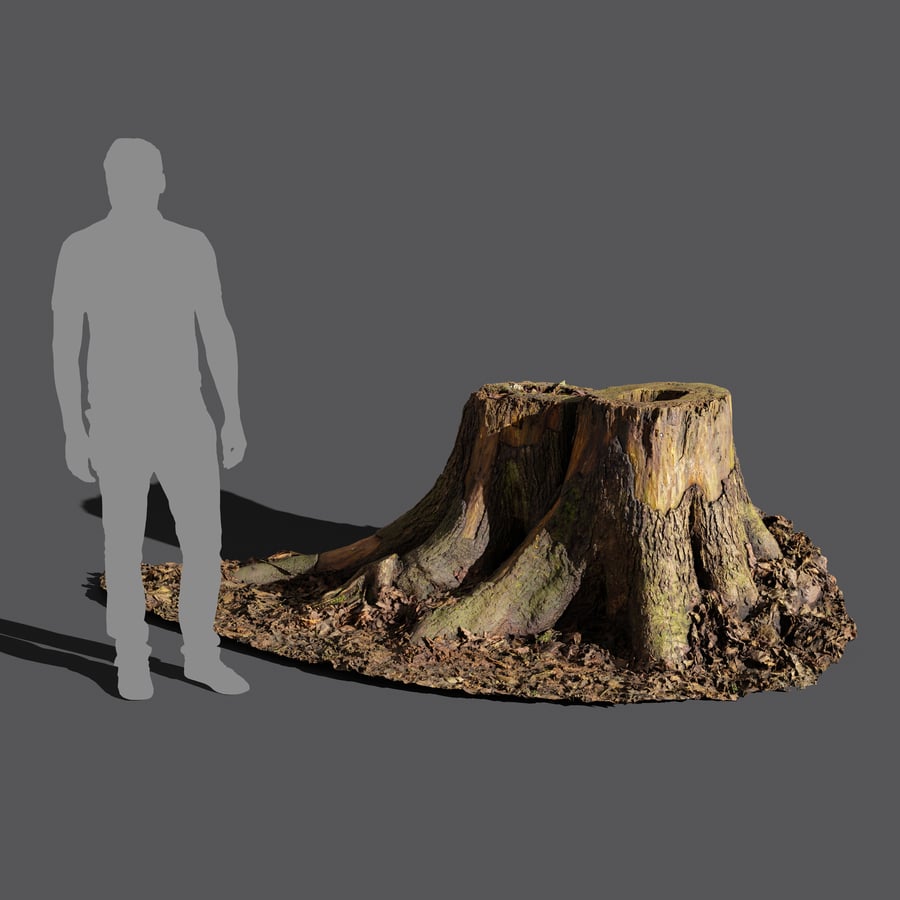 Short Cut Forest Twin Tree Stump Model