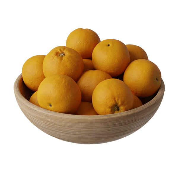 Model Makanan Mangkuk Buah Jeruk