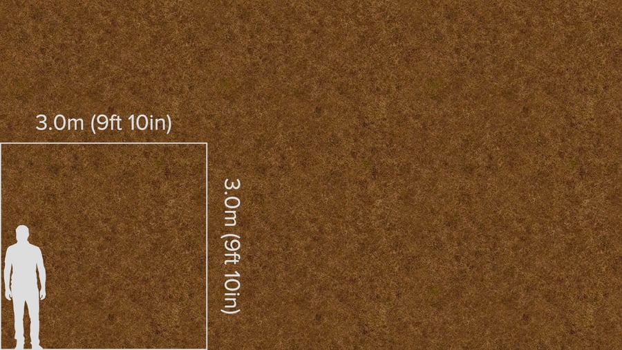 Textura de relva seca espessa