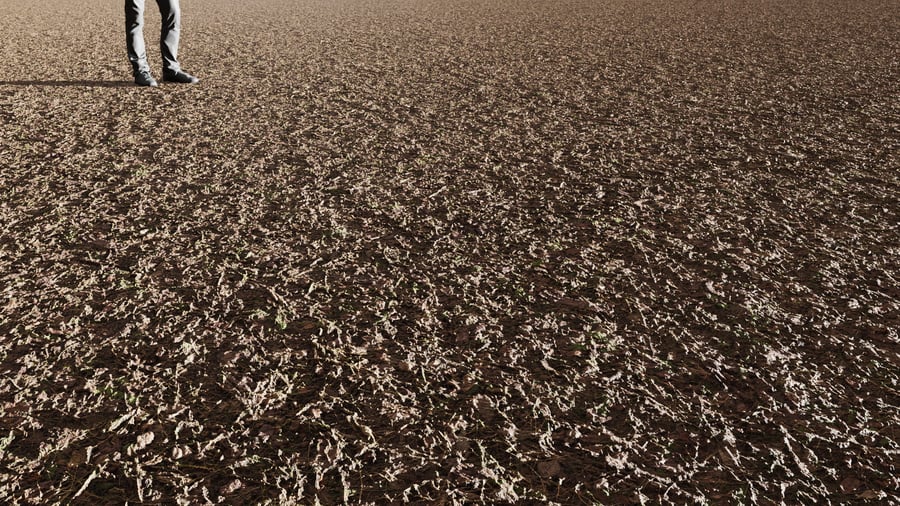 Textura de detritos espessos e ervas daninhas na floresta