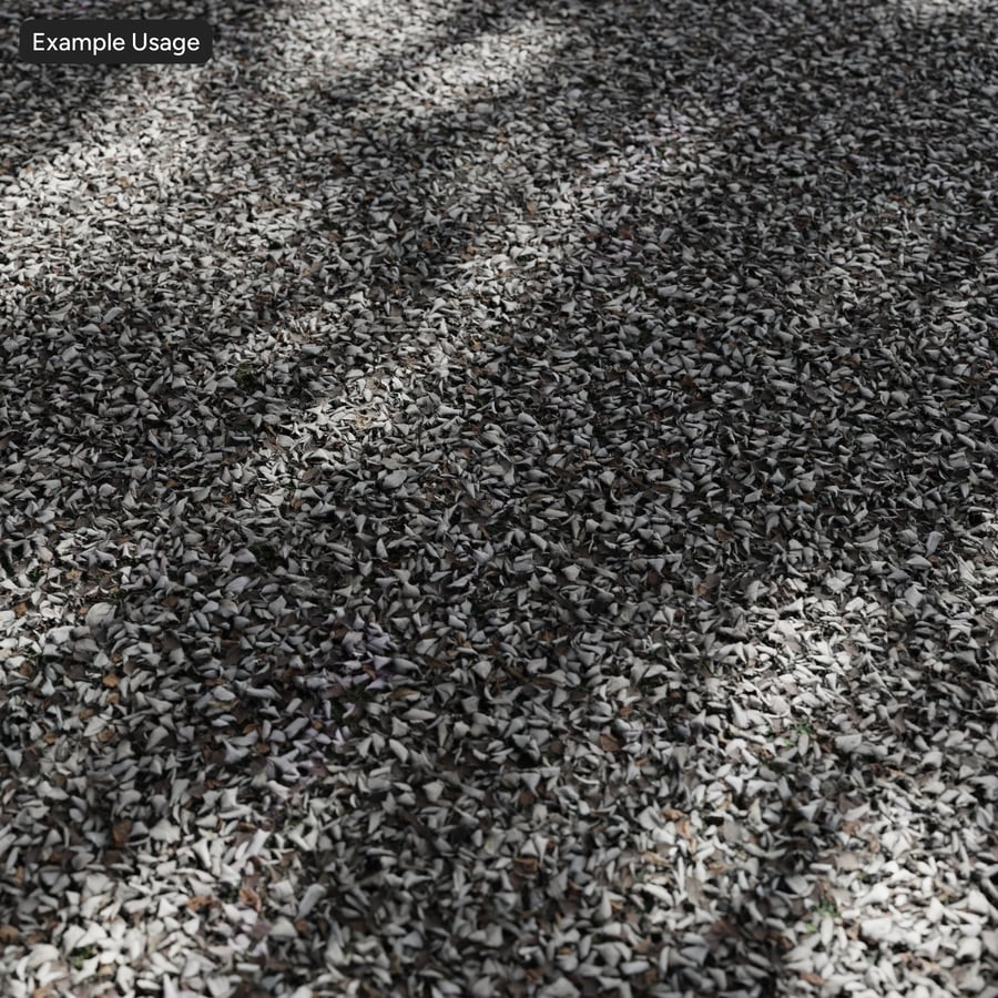 Texture des feuilles tombées sur le sol