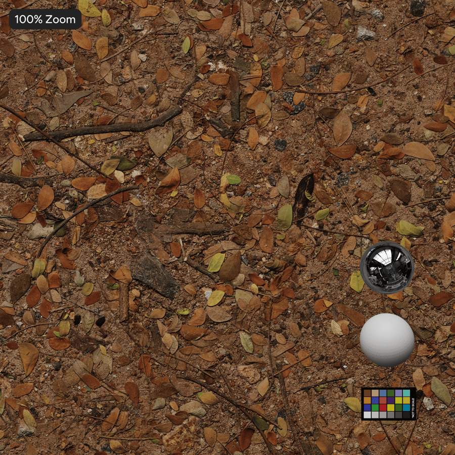 Bosbodem met puinstructuur