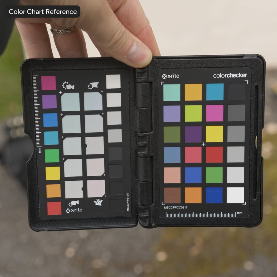 Mosachtige grindgrondtextuur