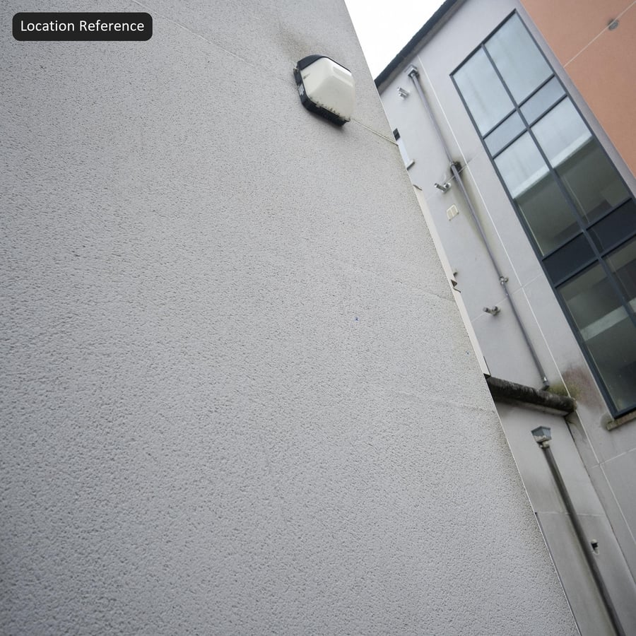 Rough Cast Plaster Facade Wall Texture, Gray