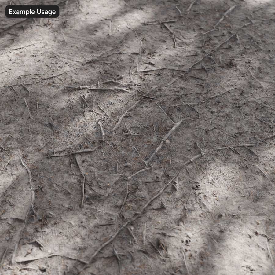 Conifer Roots on Forest Ground Texture