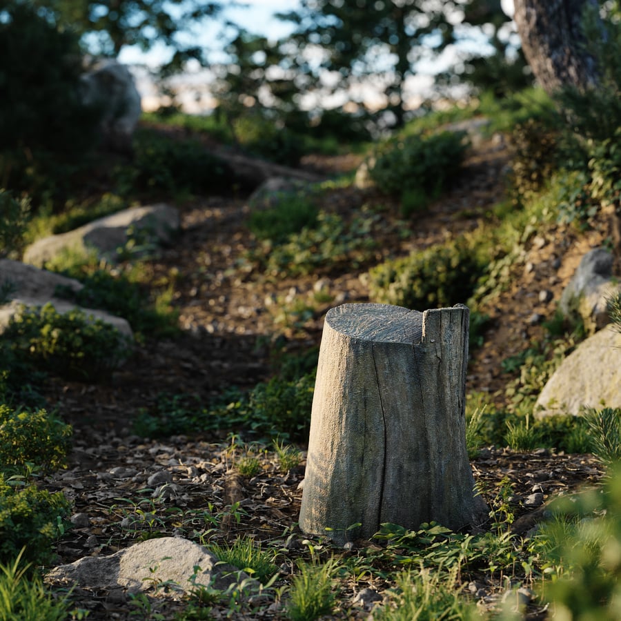 Medium Bare Cut Deciduous Forest Stump Model