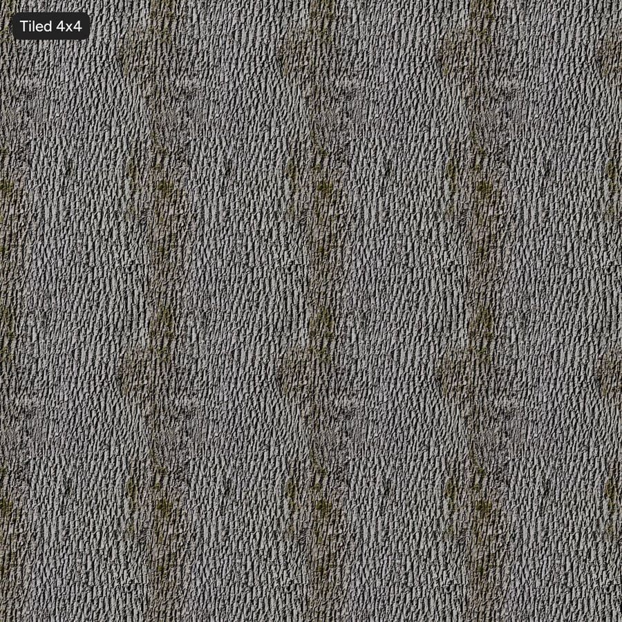 Textura de casca de árvore decídua coberta de musgo, cinza