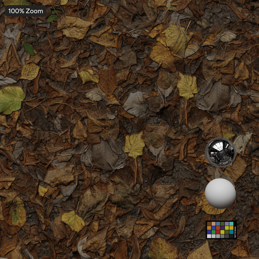 Folhas de outono em textura de terra