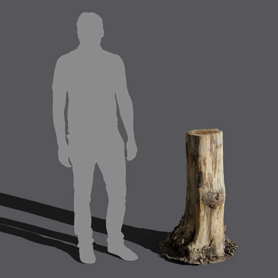 Tall Cut Bare Stump Model