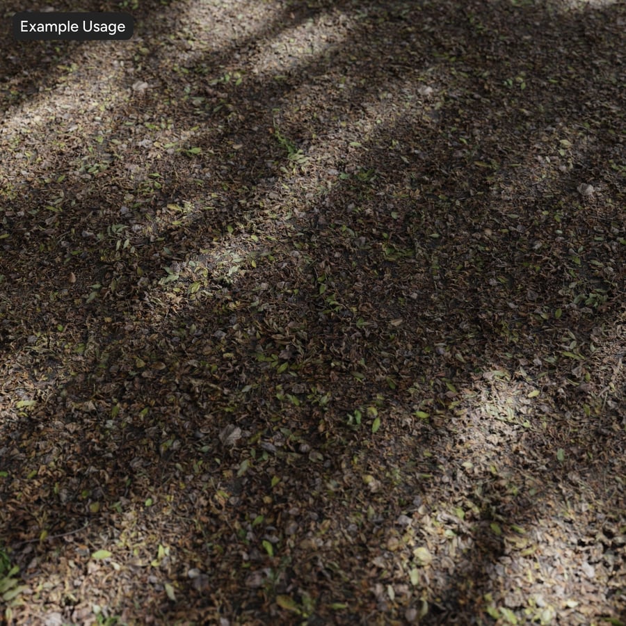 Feuilles entièrement recouvertes sur texture de sol asphalté