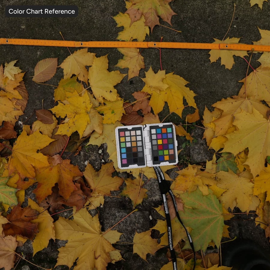Old Moldy Plaster Wall Texture