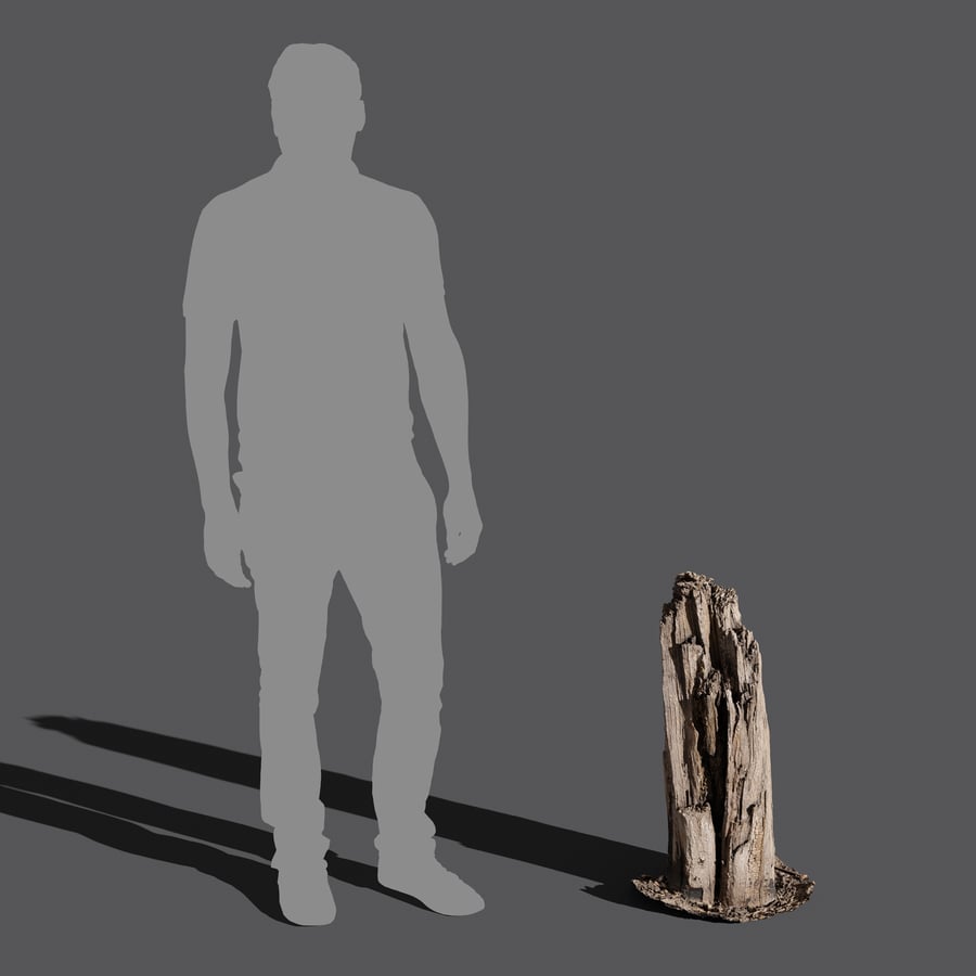 Vysoký rozbitý rozštípnutý pařez Model