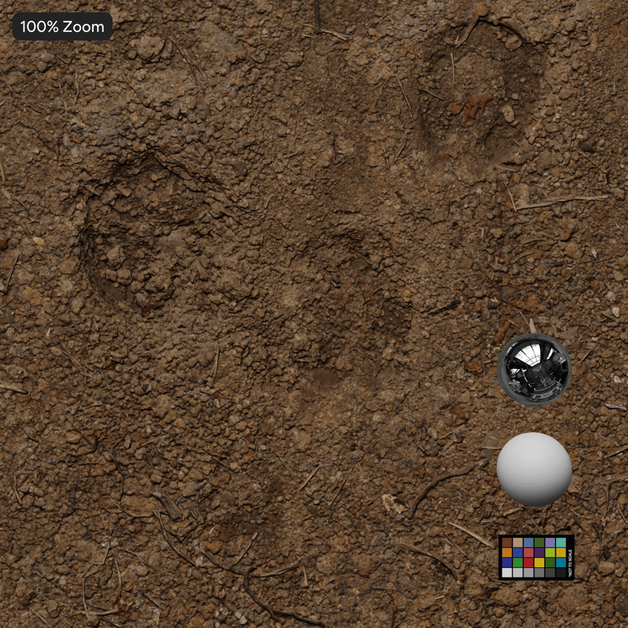 Pitted Dirt Road Texture