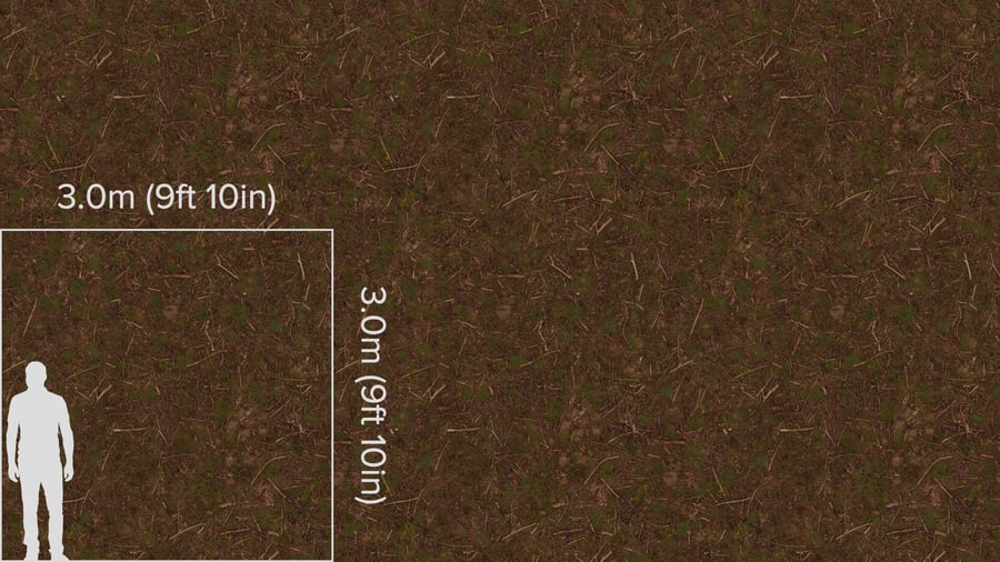 Textura de relva e detritos florestais