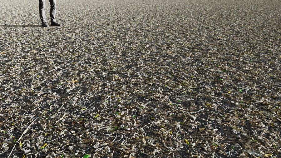 Forest Leaves Ground Texture, Dark Grey