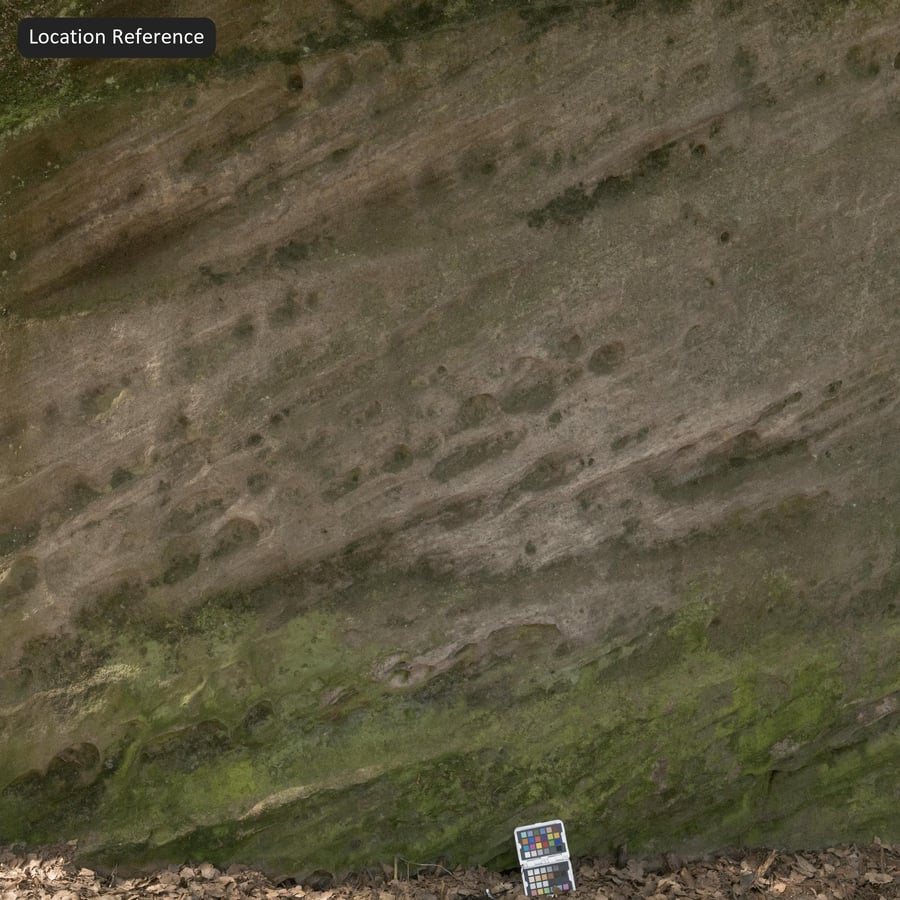 Mossy Cliff Rock Texture