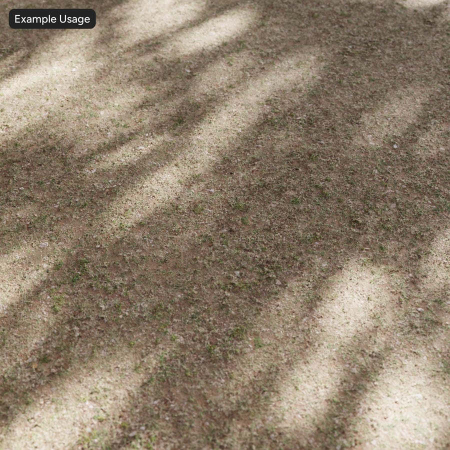 Texture di terreno con erba rada e terra battuta, beige sabbia