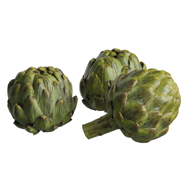 Artichoke Models