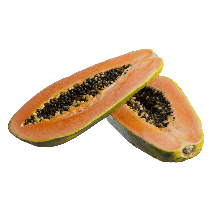 Halved Papaya Models