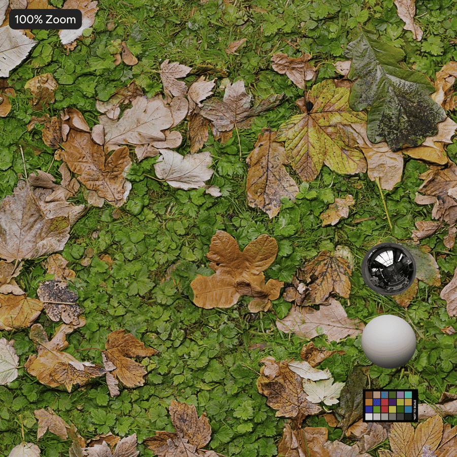 Leaves on Grass Texture