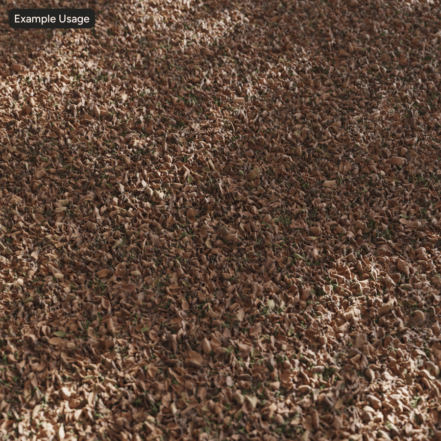 Textura de folhas de olmo secas