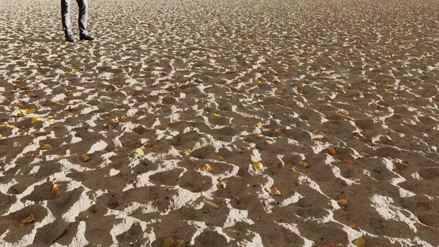 Footprints & Leaves Sand Texture