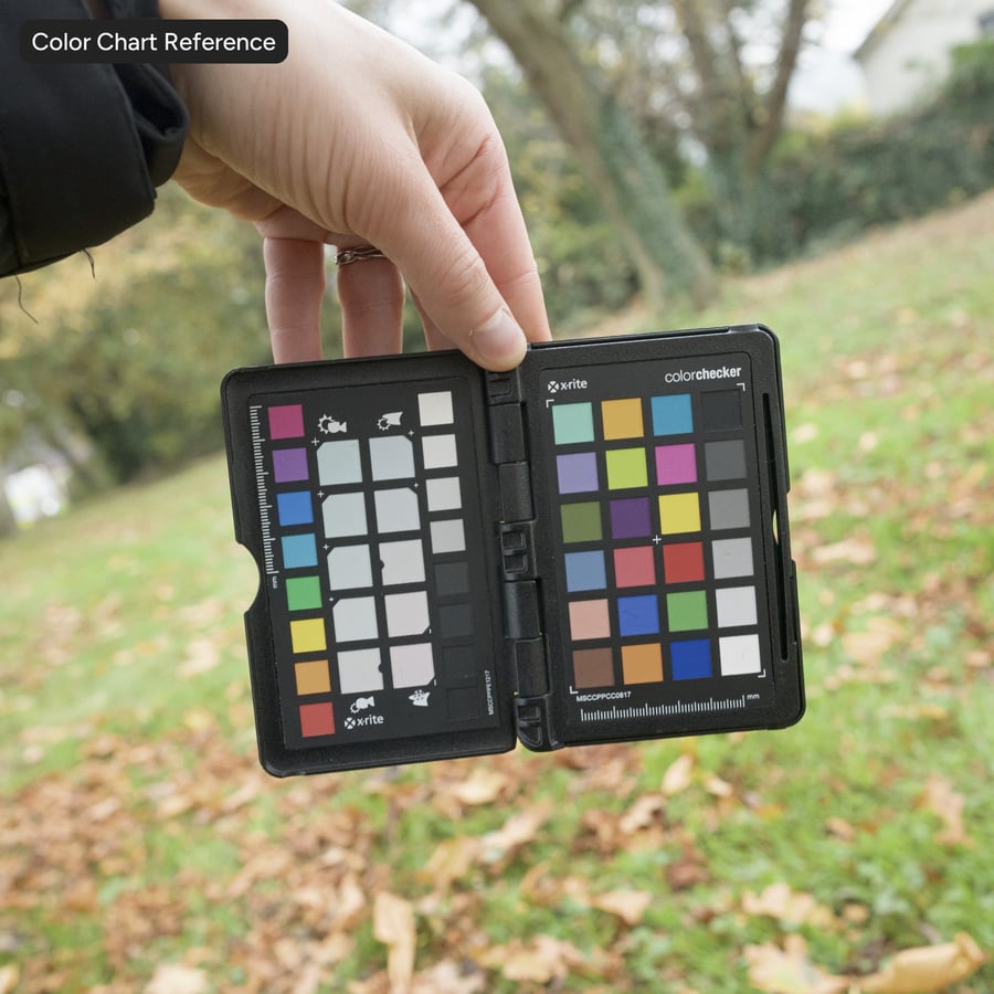 Φθινόπωρο Φύλλα στο γρασίδι έδαφος υφή