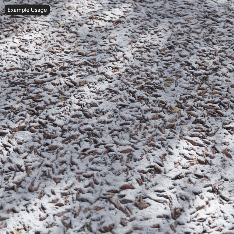 Leaves on Snow Texture