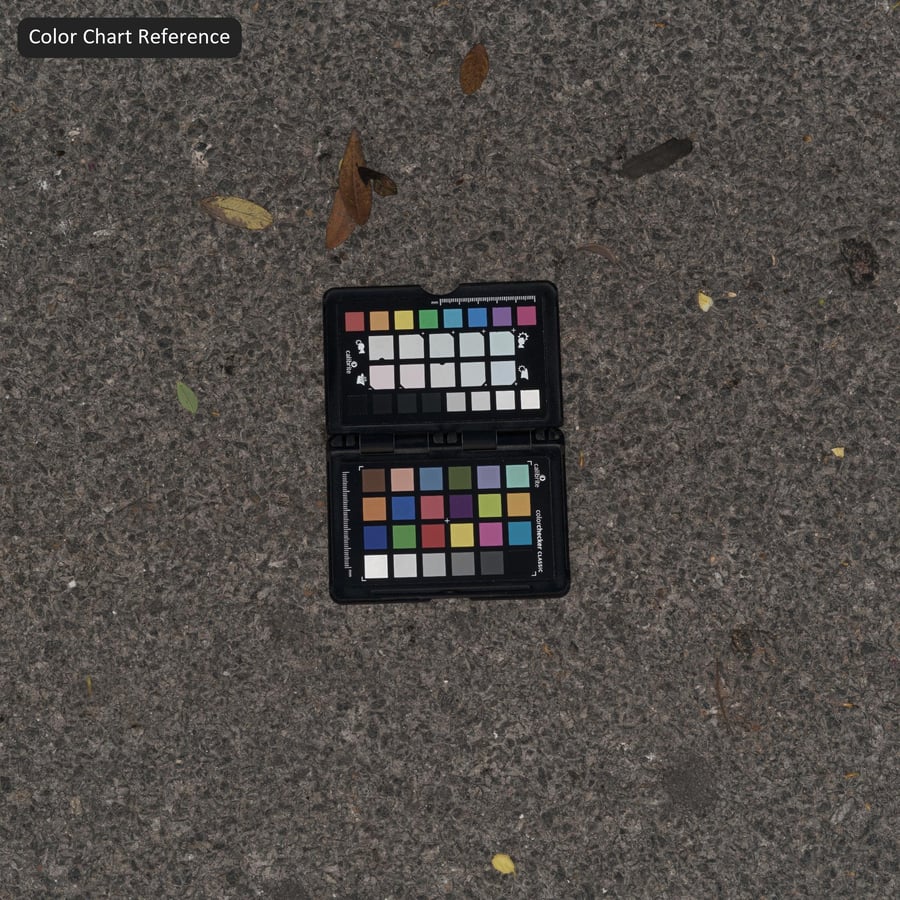 Fallen Leaves on Asphalt Texture