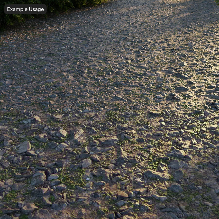 Scattered Rocks and Weeds Texture