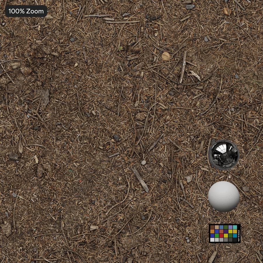 Vuil en dennenborstel op grondtextuur