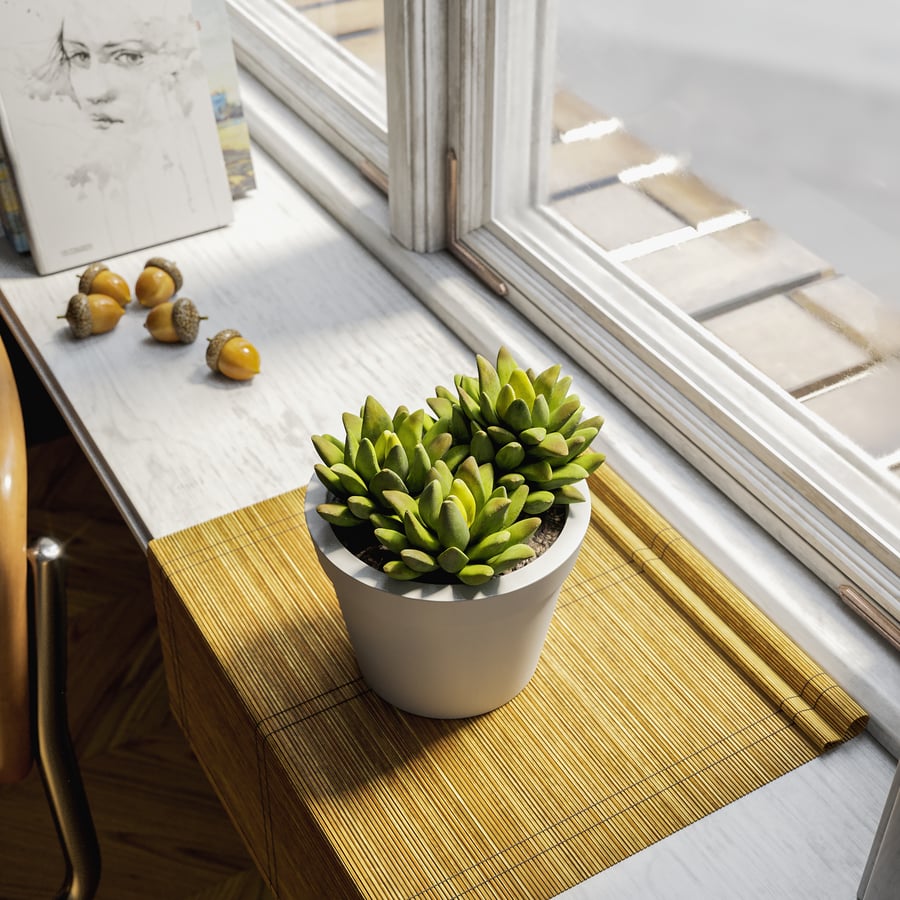 Planta suculenta de agave bebê em vaso modelo
