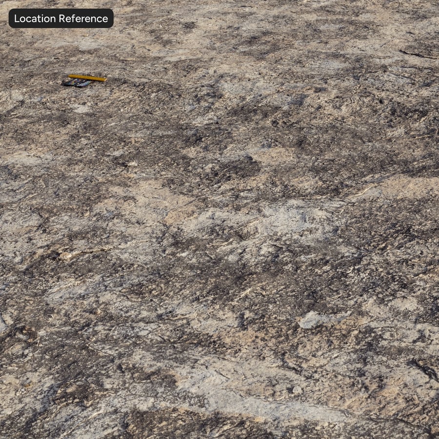 Lichen Spotted Cliff Rock Texture