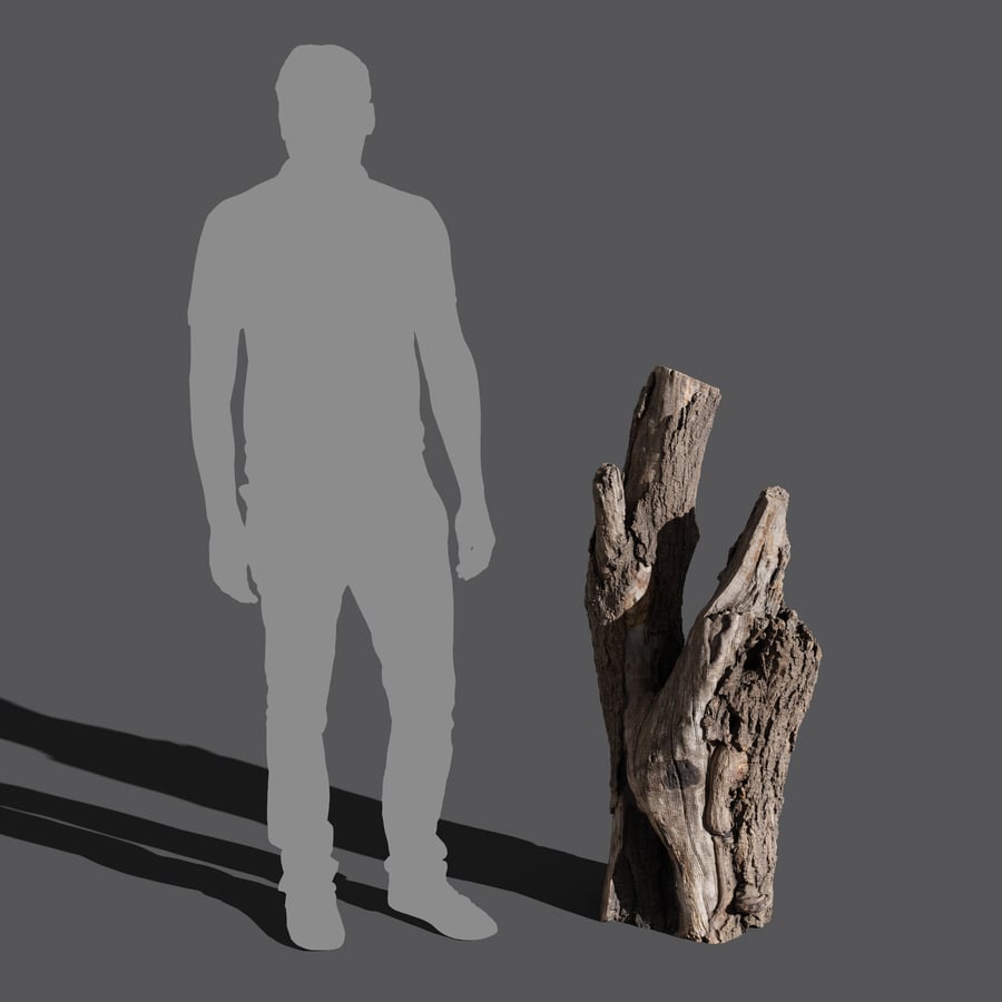 Tall Cut V-Shaped Deciduous Stump Model