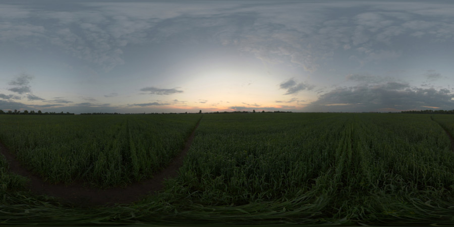 Lightly Scattered Cloud Sunset Field Outdoor Sky HDRI