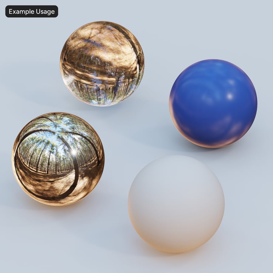 HDRI соснового лісу, сонячно