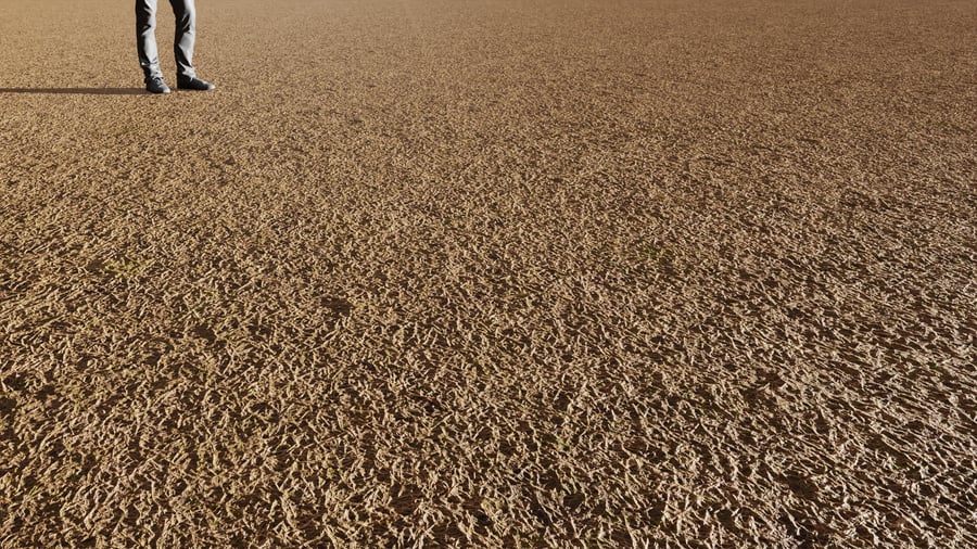 Thick Dried Grass Ground Texture