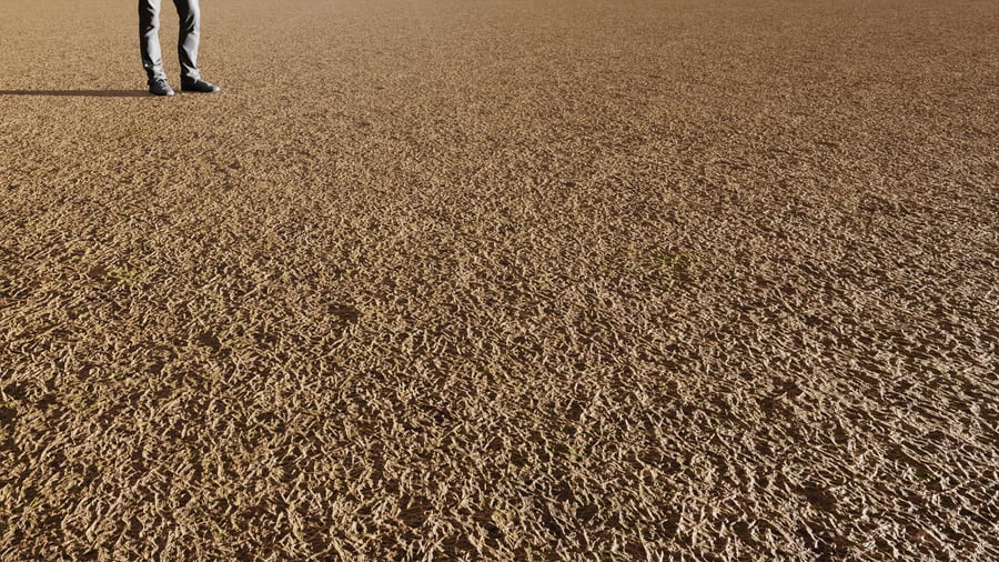 Textura de relva seca espessa